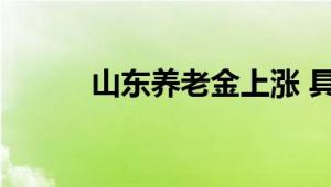 山东养老金上涨 具体什么情况？