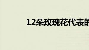 12朵玫瑰花代表的含义是什么?