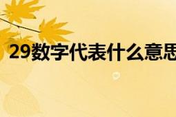 29数字代表什么意思？深度解析其象征含义