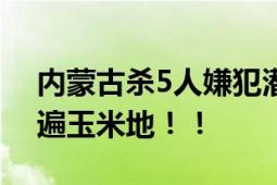 内蒙古杀5人嫌犯潜逃10天后被抓 警方曾翻遍玉米地！！