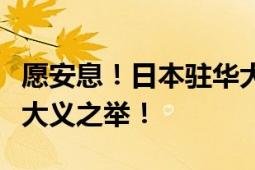 愿安息！日本驻华大使馆降半旗致敬胡友平的大义之举！