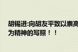 胡锡进:向胡友平致以崇高敬意 是中国社会所崇尚的见义勇为精神的写照！！