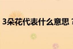 3朵花代表什么意思？解读花语中的深层含义