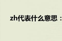 zh代表什么意思：全面解析与含义探讨