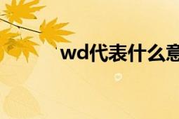 wd代表什么意思 常见缩写解析