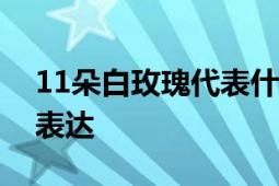 11朵白玫瑰代表什么意思？解读花语与情感表达