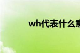 wh代表什么意思：解析与解释