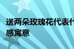 送两朵玫瑰花代表什么意思？解读玫瑰花的情感寓意