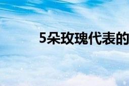 5朵玫瑰代表的意思及其深层含义