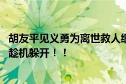 胡友平见义勇为离世救人细节披露 日籍成年伤者的儿子得以趁机躲开！！