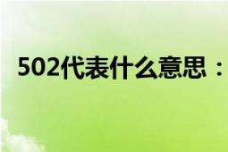 502代表什么意思：详解数字的含义与起源