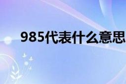 985代表什么意思 深度解析与延伸探讨