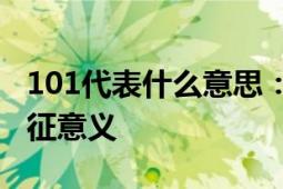 101代表什么意思：解析数字在不同领域的象征意义