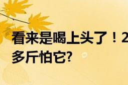 看来是喝上头了！2名顾客饭店追野猪:我二百多斤怕它?