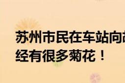 苏州市民在车站向胡友平献花 车内后备箱已经有很多菊花！