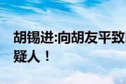 胡锡进:向胡友平致以崇高敬意 要谴责犯罪嫌疑人！