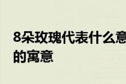 8朵玫瑰代表什么意思？解读玫瑰花语中隐藏的寓意