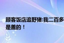 顾客饭店追野猪:我二百多斤怕它? 网友：200多斤的体重不是盖的！