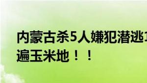 内蒙古杀5人嫌犯潜逃10天后被抓 警方曾翻遍玉米地！！