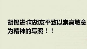 胡锡进:向胡友平致以崇高敬意 是中国社会所崇尚的见义勇为精神的写照！！