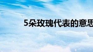 5朵玫瑰代表的意思及其深层含义