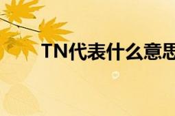 TN代表什么意思 详解其含义与用途