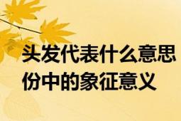 头发代表什么意思 探索头发在文化与个人身份中的象征意义