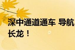 深中通道通车 导航“红到发紫” 路面上大排长龙！