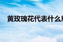 黄玫瑰花代表什么意思？深度解读其寓意