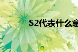 S2代表什么意思：详解与探索