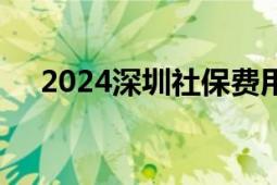 2024深圳社保费用申报缴纳流程调整了