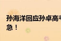 孙海洋回应孙卓高考成绩 忙完再回应 不要着急！