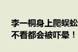 李一桐身上爬蜈蚣被提醒抱拳感谢 李一桐：不看都会被吓晕！