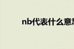 nb代表什么意思 网络流行语解析