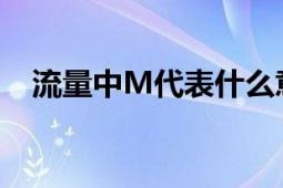 流量中M代表什么意思及其相关知识解析