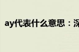 ay代表什么意思：深度解析及常见应用情境