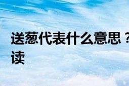 送葱代表什么意思？文化传承与象征意义的解读