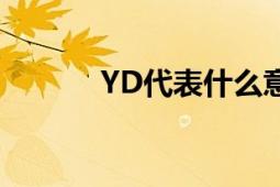 YD代表什么意思？解析与探讨