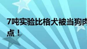 7吨实验比格犬被当狗肉卖 发现非法贩卖黑窝点！