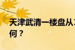 天津武清一楼盘从160万降到39万元 这是为何？