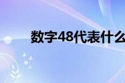 数字48代表什么意思？ 解析与探索