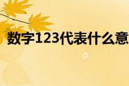 数字123代表什么意思 揭秘数字背后的含义