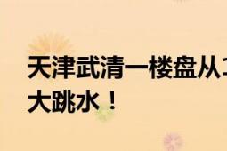 天津武清一楼盘从160万降到39万 惊现房价大跳水！