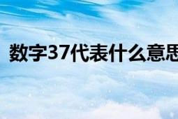 数字37代表什么意思？探索数字背后的含义