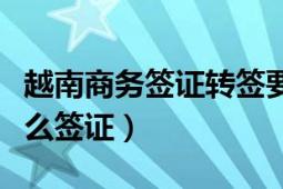 越南商务签证转签要多久（商务签证可以转什么签证）