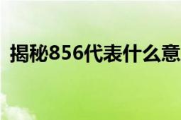 揭秘856代表什么意思 了解数字背后的含义