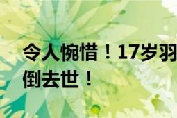 令人惋惜！17岁羽毛球小将张志杰比赛中晕倒去世！