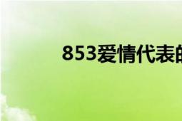 853爱情代表的意思及更多探索