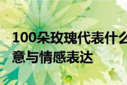 100朵玫瑰代表什么意思：深探玫瑰花语的寓意与情感表达