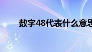 数字48代表什么意思？ 解析与探索